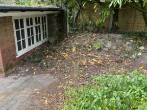 Garden Clearances Services in Sussex